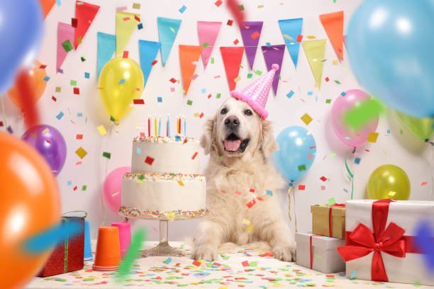Dog Birthday Party Decorations